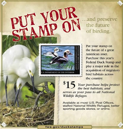 Duck Stamp Program