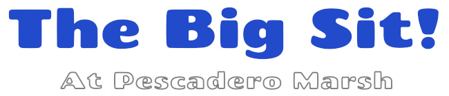 The Big Sit